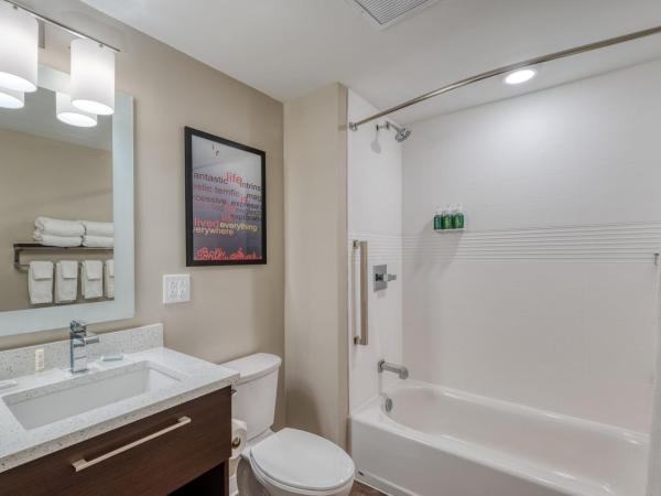 TownePlace Suites by Marriott Indianapolis Airport : photo 7 de la chambre studio lit king-size avec canapé-lit