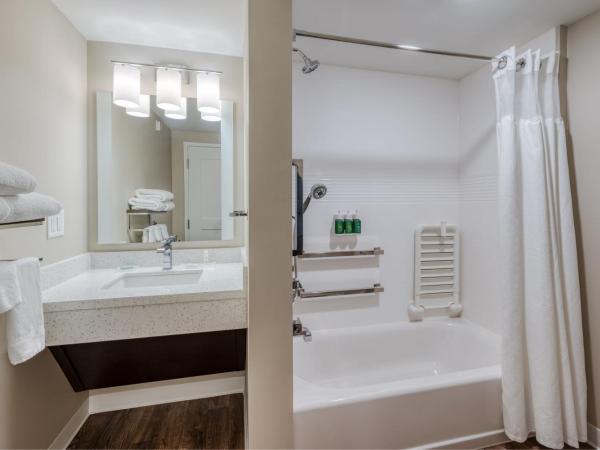 TownePlace Suites by Marriott Indianapolis Airport : photo 9 de la chambre studio lit king-size avec canapé-lit