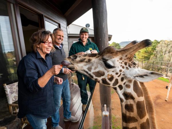Jamala Wildlife Lodge : photo 1 de la chambre cabane dans les arbres girafe