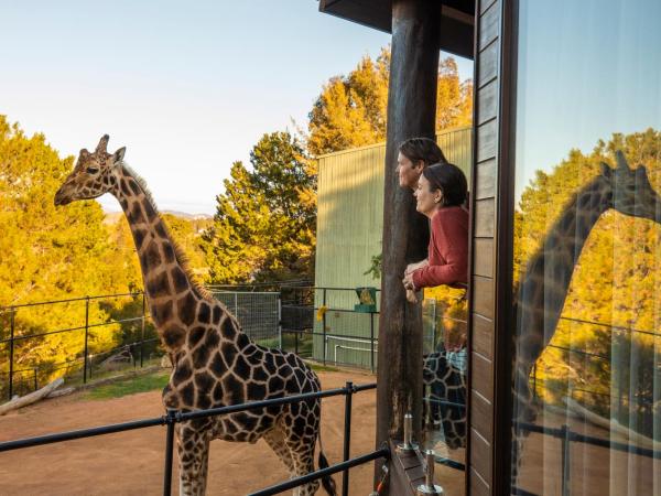 Jamala Wildlife Lodge : photo 2 de la chambre cabane dans les arbres girafe