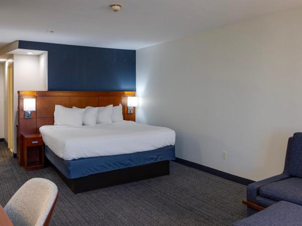 Courtyard by Marriott Oklahoma City North/Quail Springs : photo 6 de la chambre chambre lit king-size avec canapé-lit