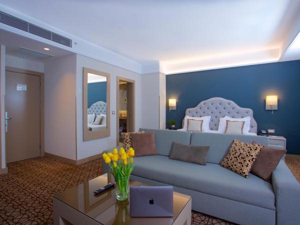 Ramada By Wyndham İstanbul Taksim : photo 2 de la chambre suite