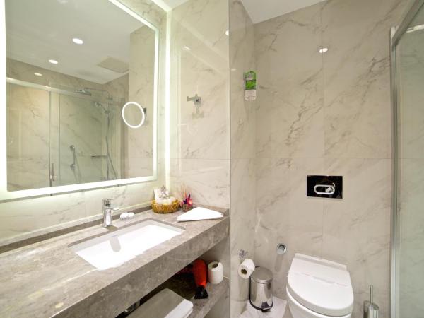 Ramada By Wyndham İstanbul Taksim : photo 4 de la chambre chambre lit king-size standard