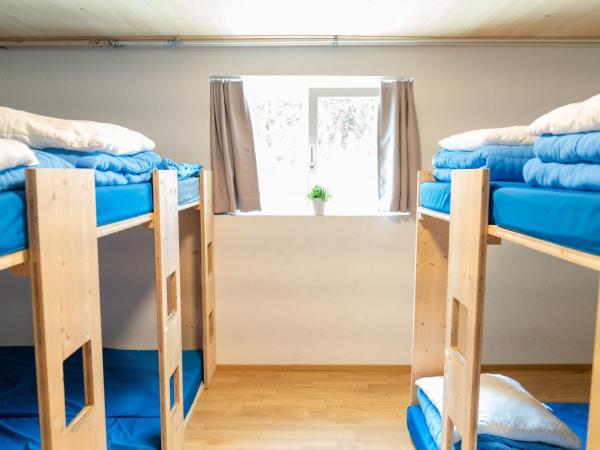 Naturfreunde Hostel Grindelwald : photo 5 de la chambre lit simple dans dortoir mixte avec salle de bains commune 