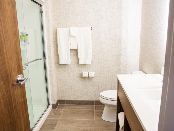 Holiday Inn Express & Suites - Halifax - Dartmouth : photo 5 de la chambre chambre standard avec 2 lits queen-size