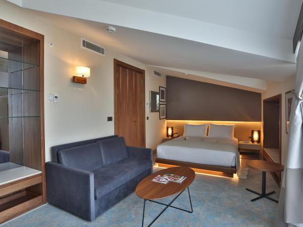 Dosso Dossi Hotels & Spa Downtown : photo 10 de la chambre chambre supérieure avec terrasse