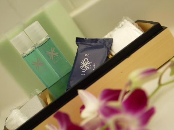 Hotel Luxor : photo 4 de la chambre chambre double classique