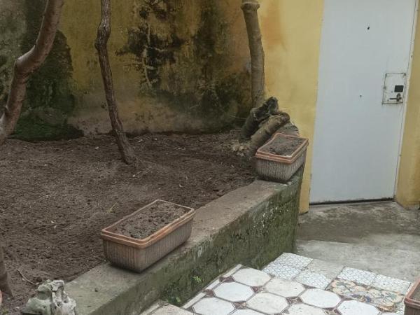 Il giardino nascosto : photo 1 de la chambre chambre quadruple avec salle de bains