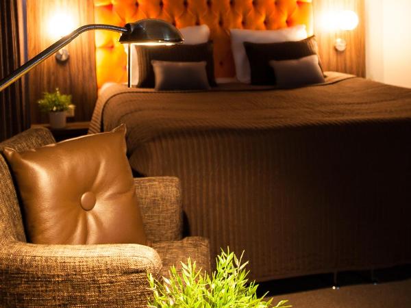 Hotel La Reine : photo 6 de la chambre chambre lits jumeaux standard