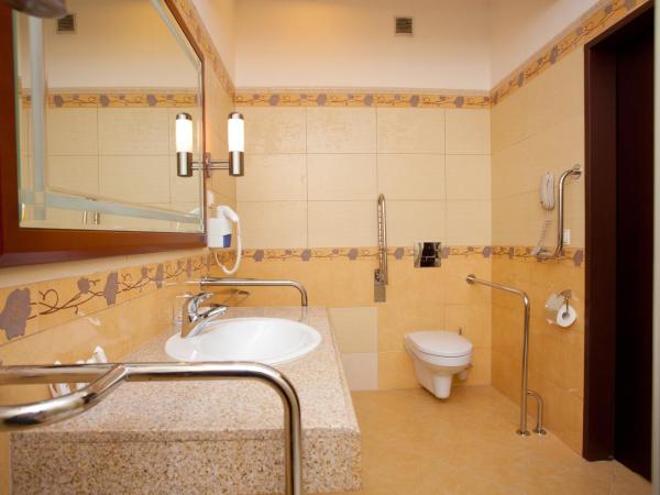 Hotel Gołębiewski Karpacz : photo 3 de la chambre chambre double Économique