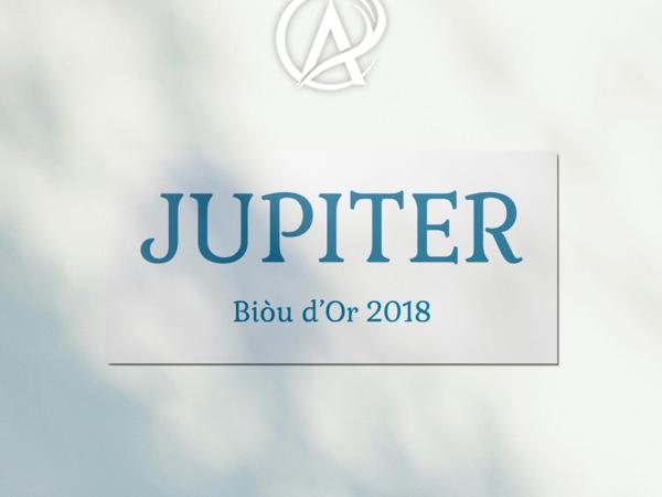 Auberge des Plaines - Appart'hôtel : photo 2 de la chambre appartement 1 chambre avec terrasse