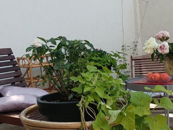 Maison Arelate : photo 9 de la chambre chambre double - vue sur jardin