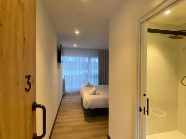 DONOSTIA ROOMS : photo 10 de la chambre chambre double