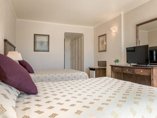 Soft Bariloche Hotel : photo 1 de la chambre chambre triple supérieure