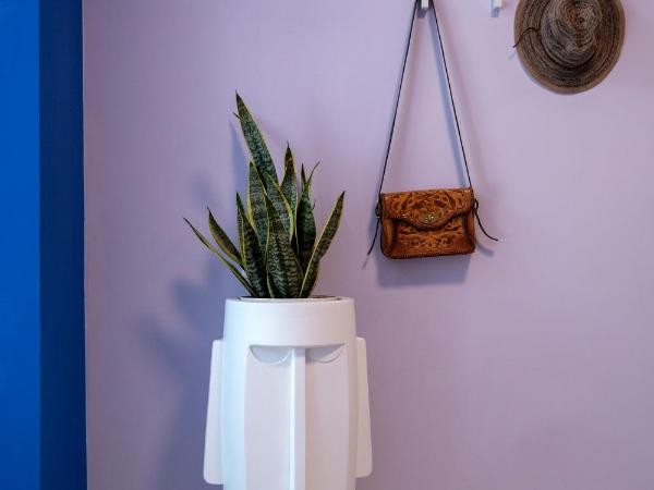 The Frogs_Guest House : photo 6 de la chambre loft