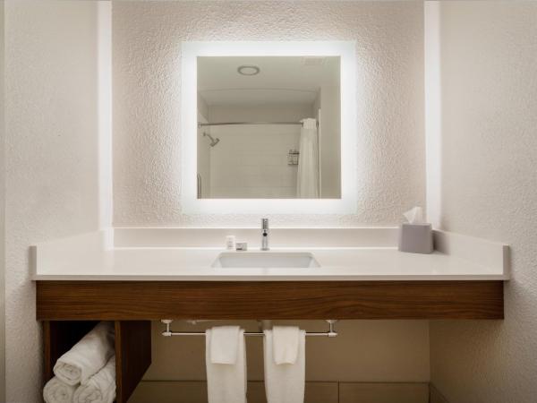 Holiday Inn Express & Suites Tucson North, Marana, an IHG Hotel : photo 2 de la chambre chambre lit king-size - baignoire accessible aux personnes à mobilité réduite - non-fumeurs