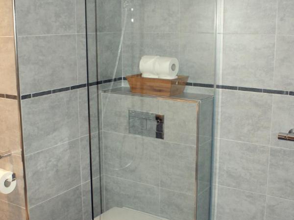 ApartHotel Sainte-Marthe : photo 9 de la chambre appartement supérieur (6 adultes) - vue sur avignon