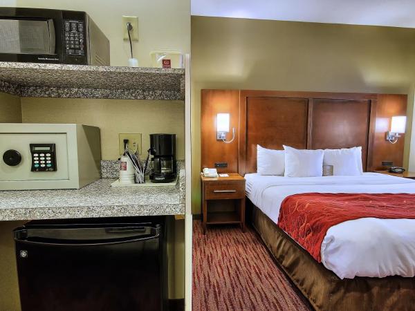 Comfort Suites : photo 8 de la chambre suite lit king-size avec canapé-lit - non-fumeurs