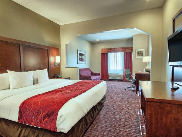 Comfort Suites : photo 7 de la chambre suite lit king-size avec canapé-lit - non-fumeurs