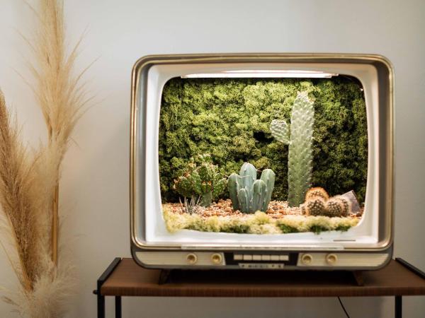 Urban Jungle Apartments : photo 9 de la chambre one-bedroom apartment 5 adults