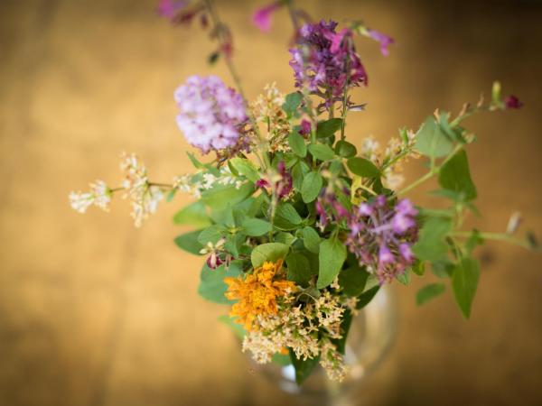 L'Herbe Haute : photo 5 de la chambre chambre double avec terrasse