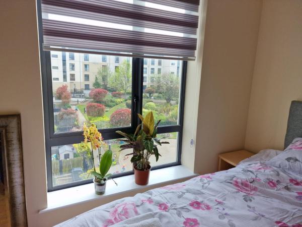 Clearwater Apartment : photo 4 de la chambre chambre double avec cuisine commune