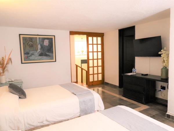 Hotel Grand Vista Cuernavaca : photo 5 de la chambre suite double standard