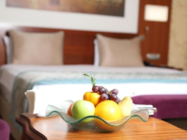 Hurry Inn Merter Istanbul : photo 6 de la chambre suite exécutive