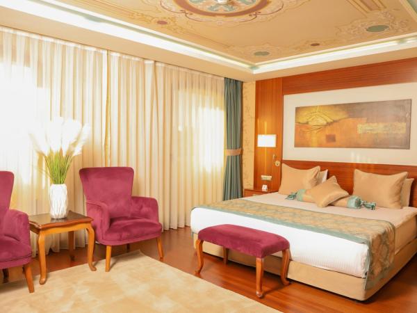 Hurry Inn Merter Istanbul : photo 3 de la chambre suite exécutive