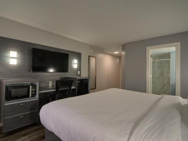 Clarion Pointe Tampa-Brandon Near Fairgrounds and Casino : photo 5 de la chambre chambre lit king- size - non-fumeurs - 1er Étage