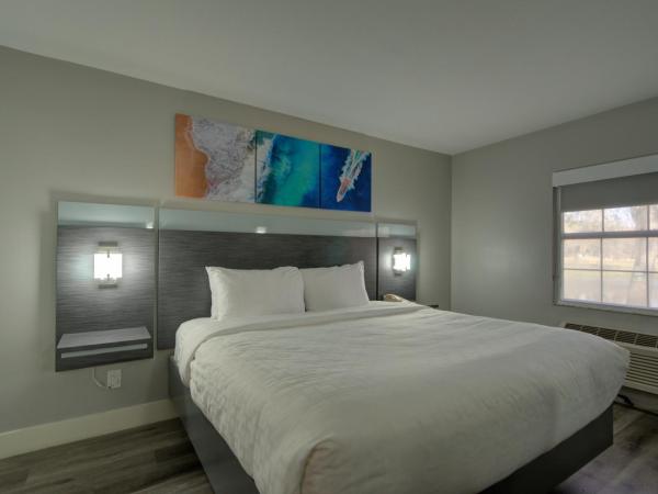 Clarion Pointe Tampa-Brandon Near Fairgrounds and Casino : photo 1 de la chambre chambre lit king- size - non-fumeurs - 1er Étage