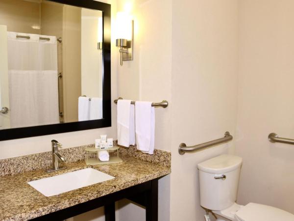 Holiday Inn Express & Suites Houston Northwest-Brookhollow, an IHG Hotel : photo 1 de la chambre chambre deluxe double ou lits jumeaux