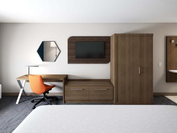 Holiday Inn Express - Dallas Downtown, an IHG Hotel : photo 5 de la chambre chambre standard