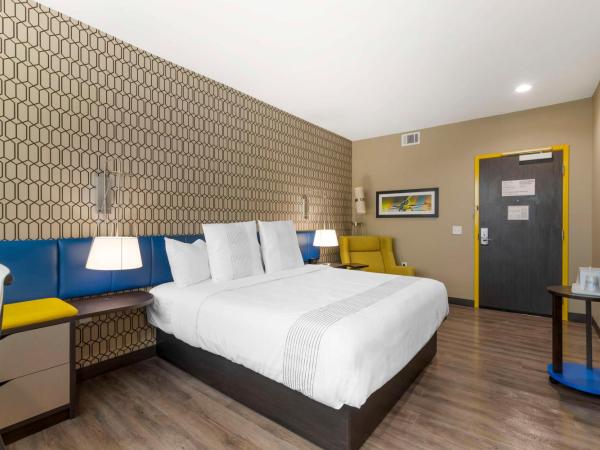 GLo Best Western Pooler - Savannah Airport Hotel : photo 4 de la chambre chambre lit king-size - accessible aux personnes à mobilité réduite