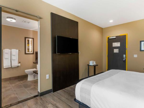 GLo Best Western Pooler - Savannah Airport Hotel : photo 4 de la chambre chambre lit king-size