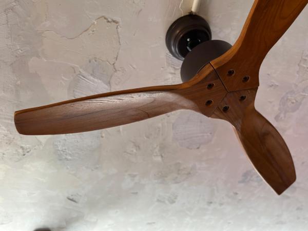 Wontonmeen : photo 6 de la chambre lit simple dans dortoir pour femmes