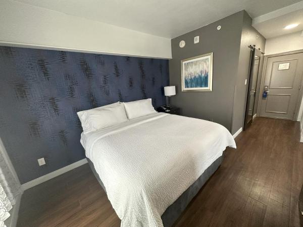Holiday Inn Express - Dallas Downtown, an IHG Hotel : photo 8 de la chambre chambre standard
