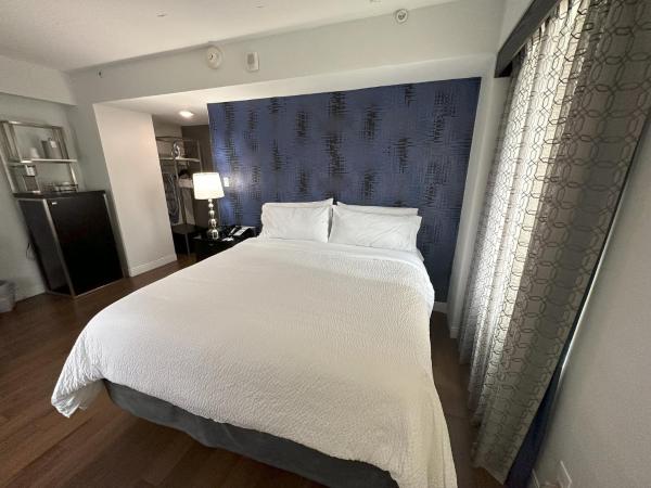 Holiday Inn Express - Dallas Downtown, an IHG Hotel : photo 7 de la chambre hébergement lit king-size standard