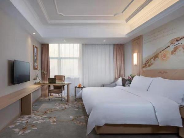 Vienna International Jiangsu Wuxi Taihu Expo Center : photo 1 de la chambre chambre double standard