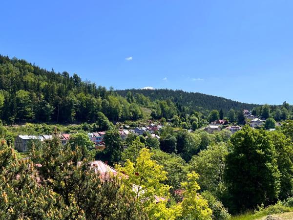 Vila Jáchymov : photo 5 de la chambre appartement avec balcon