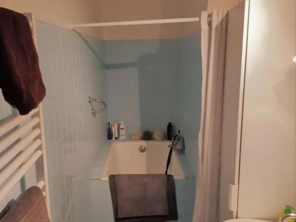 La colocation du Parc Longchamp : photo 9 de la chambre appartement 1 chambre