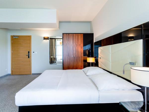 Diune Hotel by Zdrojowa : photo 2 de la chambre chambre double avec lit d'appoint