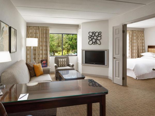Sheraton Suites Orlando Airport Hotel : photo 5 de la chambre suite 1 chambre avec 1 lit king-size et canapé-lit