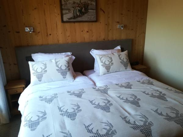 Hôtel-Chalet Les Ecureuils Restaurant, Sauna & Spa Garage : photo 5 de la chambre chambre double ou lits jumeaux avec douche