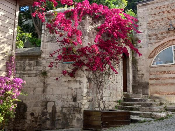 Emirhan Guesthouse & Suites : photo 10 de la chambre suite junior avec balcon