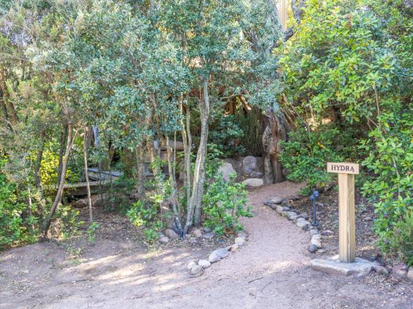 Domaine de Casanghjulina : photo 4 de la chambre suite deluxe avec lit king-size