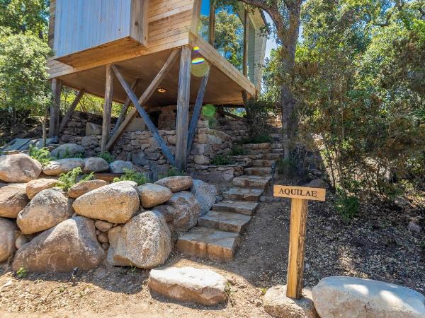 Domaine de Casanghjulina : photo 3 de la chambre suite deluxe avec lit king-size