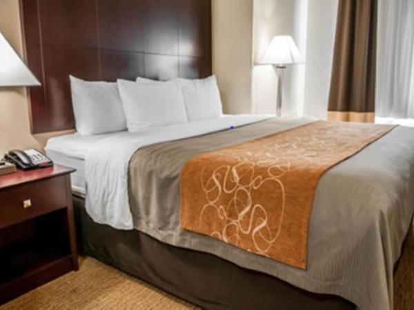 Comfort Suites North Albuquerque Balloon Fiesta Park : photo 8 de la chambre suite lit king-size – non-fumeurs