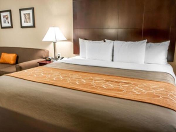 Comfort Suites North Albuquerque Balloon Fiesta Park : photo 10 de la chambre suite lit king-size – non-fumeurs