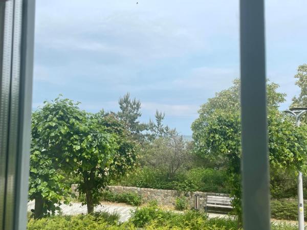 Willa Księżniczki Sopotu : photo 2 de la chambre double room on ground level with sea view